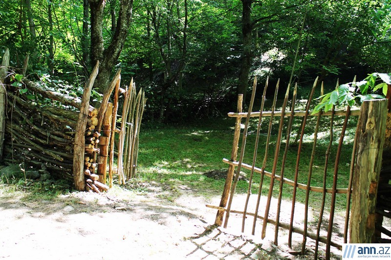 Красоты