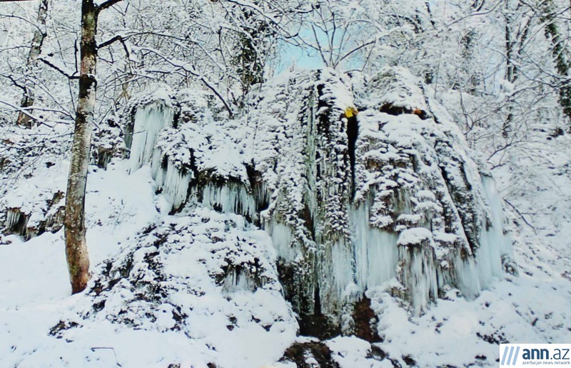 Красоты