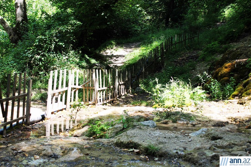 Красоты