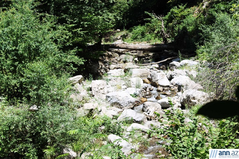 Красоты