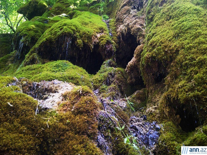 Красоты