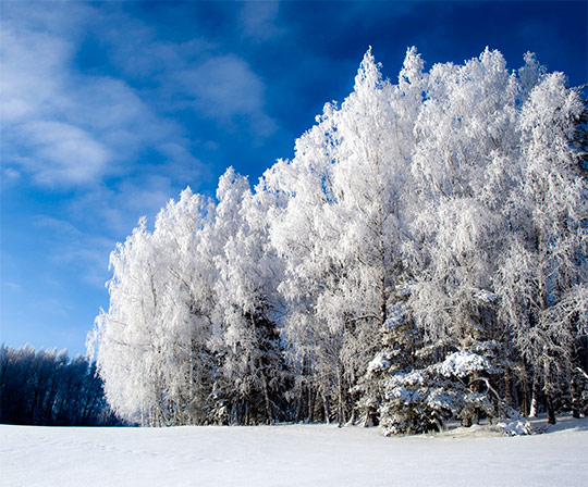 Самые