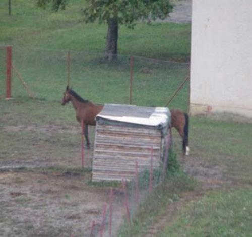 Лучшие