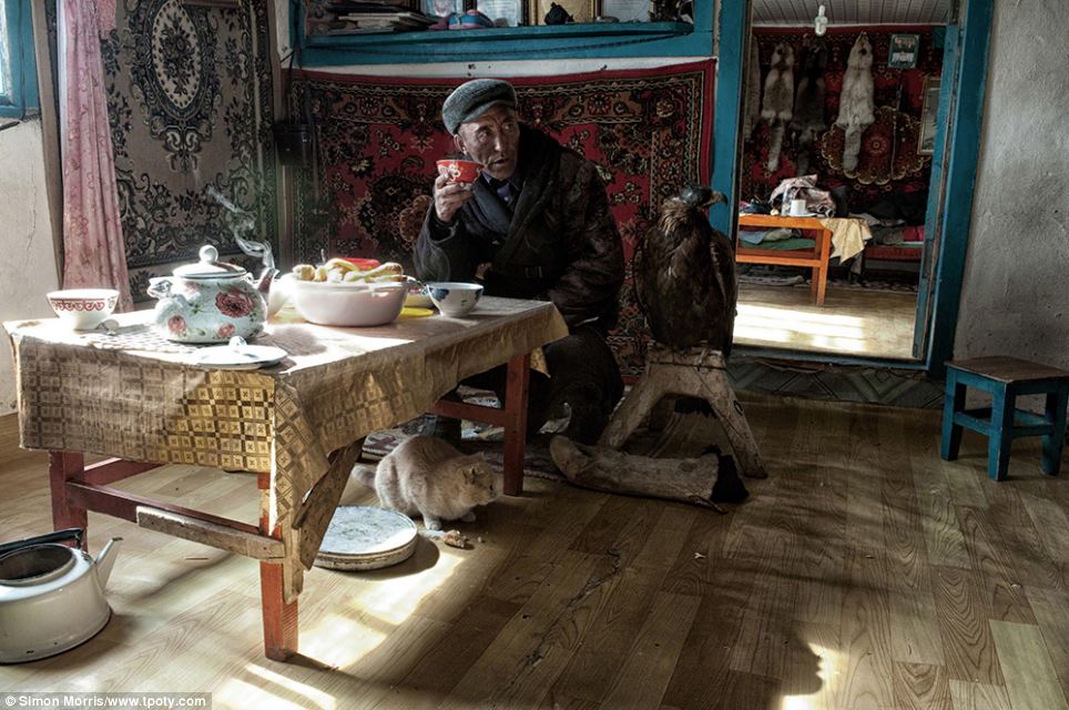 Лучшие