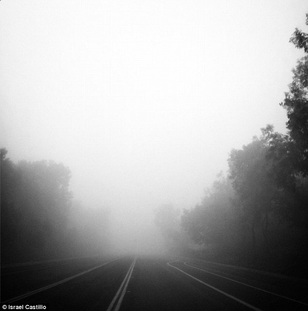 365