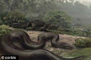 Snakes