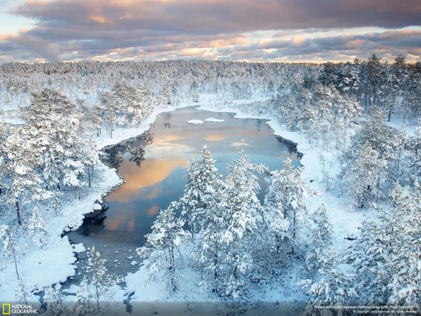 Лучшие
