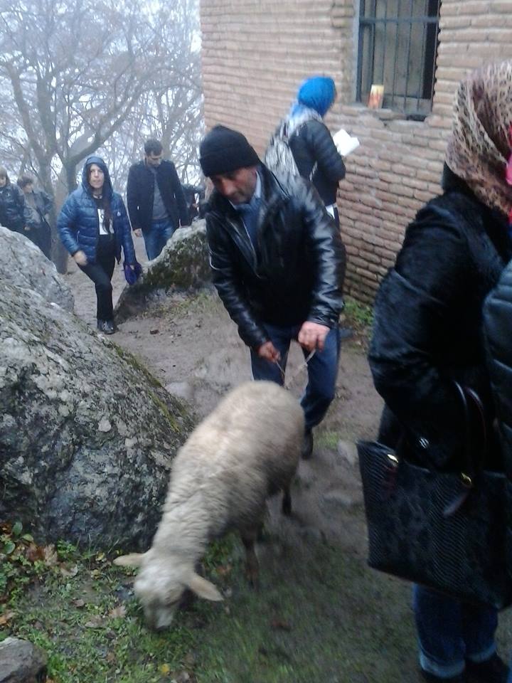 Жители