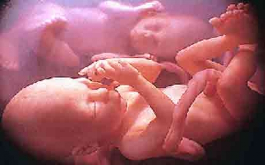 Bakıda doğum evində ŞOK: abort olunan uşaq yaşadı