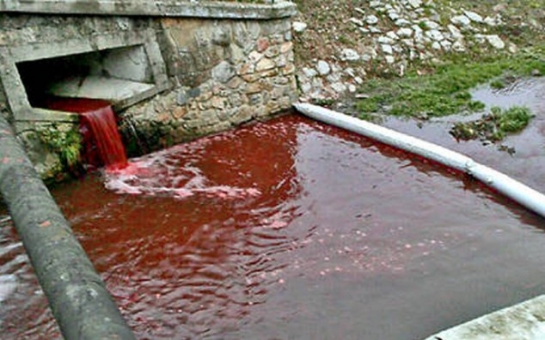 Кровавая река в Словакии -ФОТО