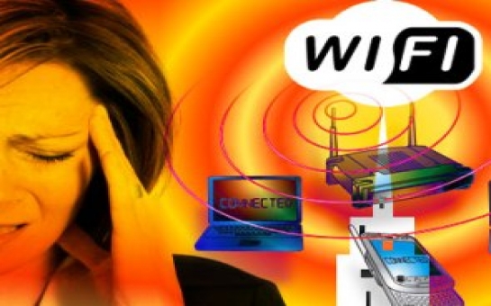 Wi-Fi вызывает головную боль и убивает растения