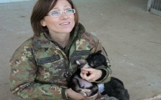 Военному врачу грозит тюрьма за спасение кошки -ФОТО