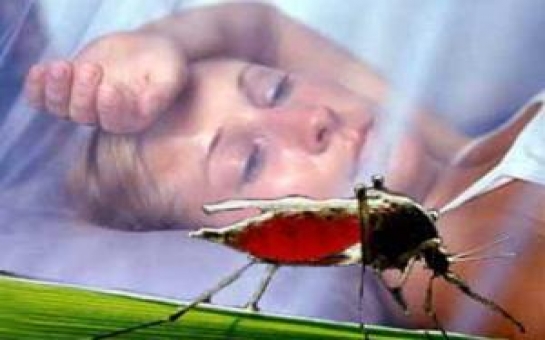 В Азербайджане нет случаев местного заражения малярией