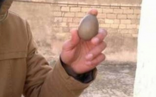 В Баку курица снесла черное яйцо -ВИДЕО