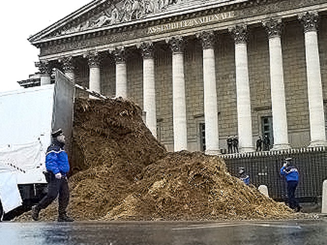 Перед французским парламентом опорожнили грузовик с навозом- ФОТО+ВИДЕО