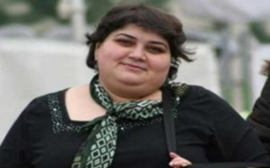 Генпрокуратура подтвердила привлечение к следствию Хадиджы Исмаиловой