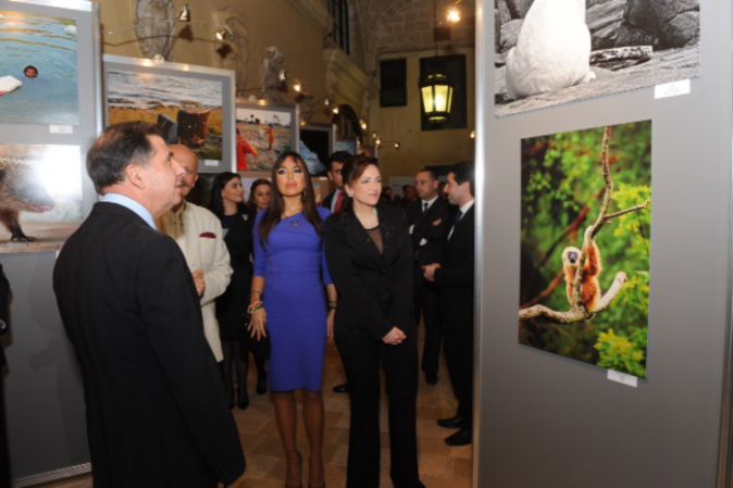 Лейла Алиева организовала выставку в Мальте- ФОТО