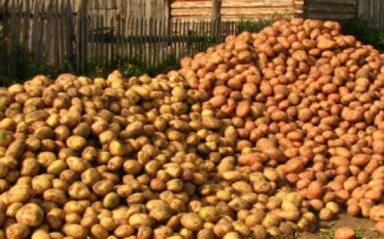 Иран не вводил ограничений на экспорт картофеля - посол