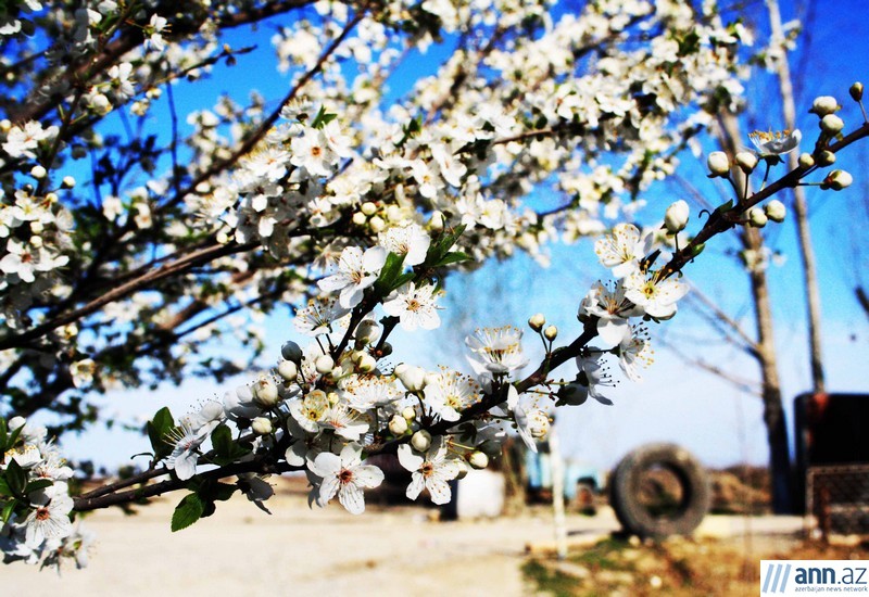 Весна – время пробуждения природы - ФОТО