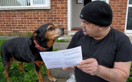 Собаку пригласили голосовать на выборах в Европарламент
