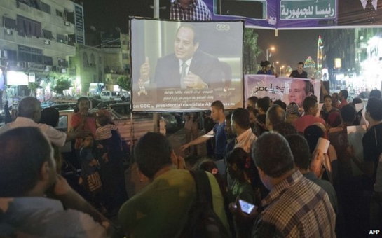 Egypt's Sisi vows Muslim Brotherhood 'will not exist'