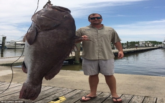 Now THAT is one big fish