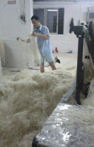 Factory causes a stink after staff pictured sticking their FEET into giant piles of noodles - PHOTO