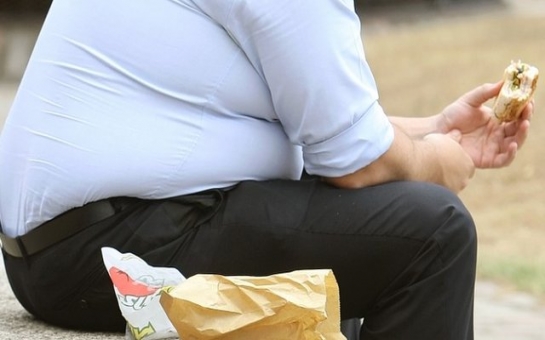 EU may define obesity as disability