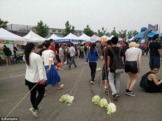 I'm just taking the CABBAGE for a walk - PHOTO