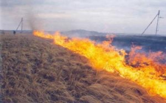 Армяне подожгли наши земли