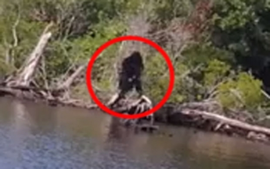 Is this the clearest photo of Bigfoot yet? - VIDEO