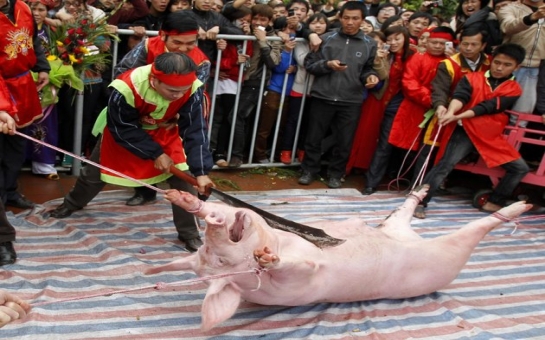 The brutal festival at Nem Thuong village, Vietnam - PHOTO