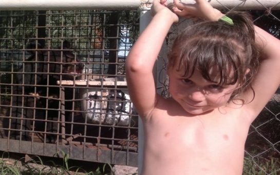 Little girl poses in front of bear cage before animal bit off her hand - PHOTO+VIDEO