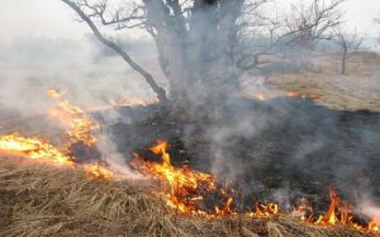 В государственном заповеднике произошел пожар из-за удара молнии