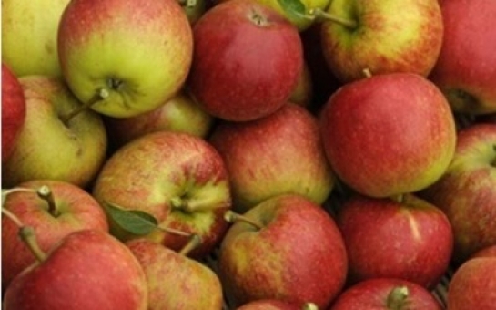 Яблоки снижают риск инфаркта - ученые