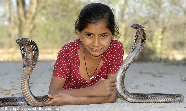 Indian girl shares curries with her King Cobra - PHOTO+VIDEO