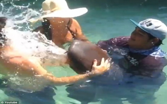 Shark projectile vomits water into surprised swimmer's face - VIDEO