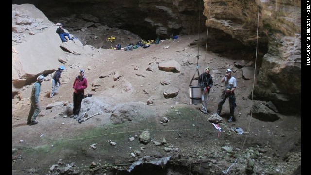 Treasure trove of prehistoric animal remains discovered - PHOTO