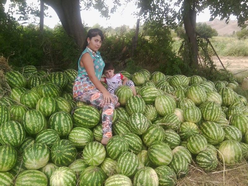 Armenian girls selling watermelons in Azerbaijan's Zangilan - PHOTO