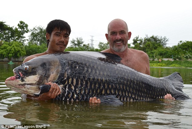 Man catches world's heaviest carp - PHOTO