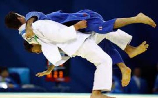 Azerbaijani judoist claims silver medal at European Champ