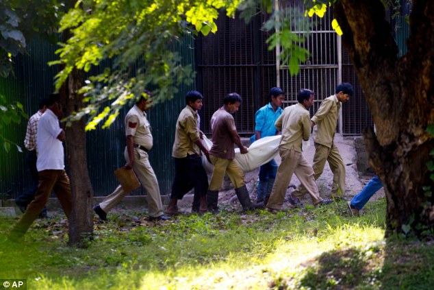 Man mauled to death by white tiger - PHOTO+VIDEO