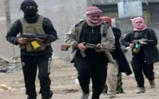 Боевики «Исламского государства» проникли на территорию Турции