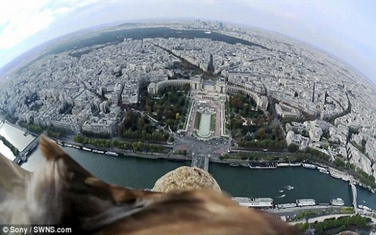 Footage captures ultimate bird's-eye view of Paris - VIDEO