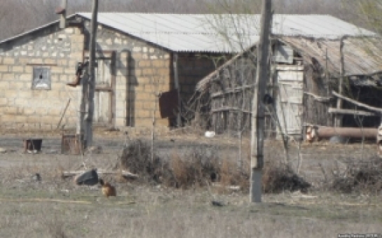 Aksiya keçirən köçkünlərə ev veriləcək