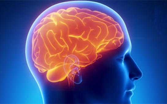 “Beyin implantı keçirmiş insanlar adi insanlardan daha çox qazanacaq”