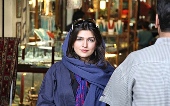 Iran activist Ghoncheh Ghavami 'on hunger strike'