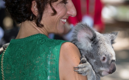 Жены лидеров G20 устроили фотосессию с коалами
