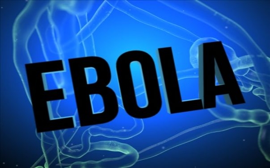 Ebola daha bir ölkədə yayıldı