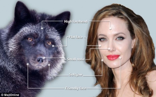 Angelina really is a foxy lady